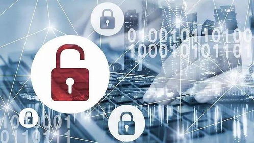 展望全球高校信息安全四大趨勢 從課程體系到產(chǎn)業(yè)融合的變革之路